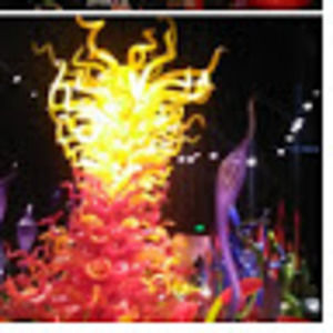 Meet your Posher, Lizzi